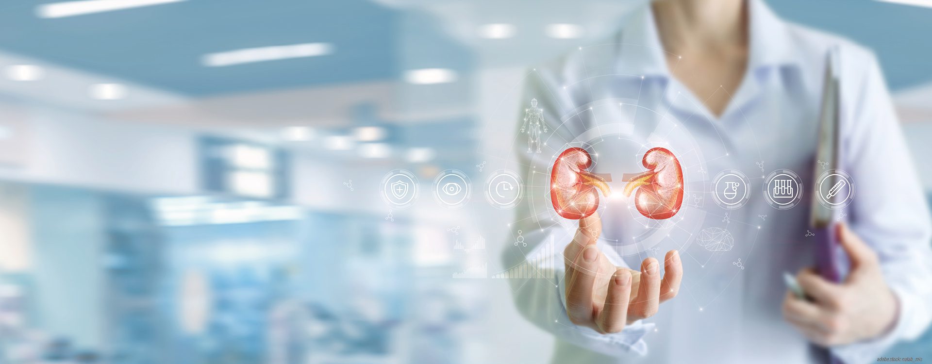Hologramm der menschlichen Nieren schwebt über der Hand einer Person