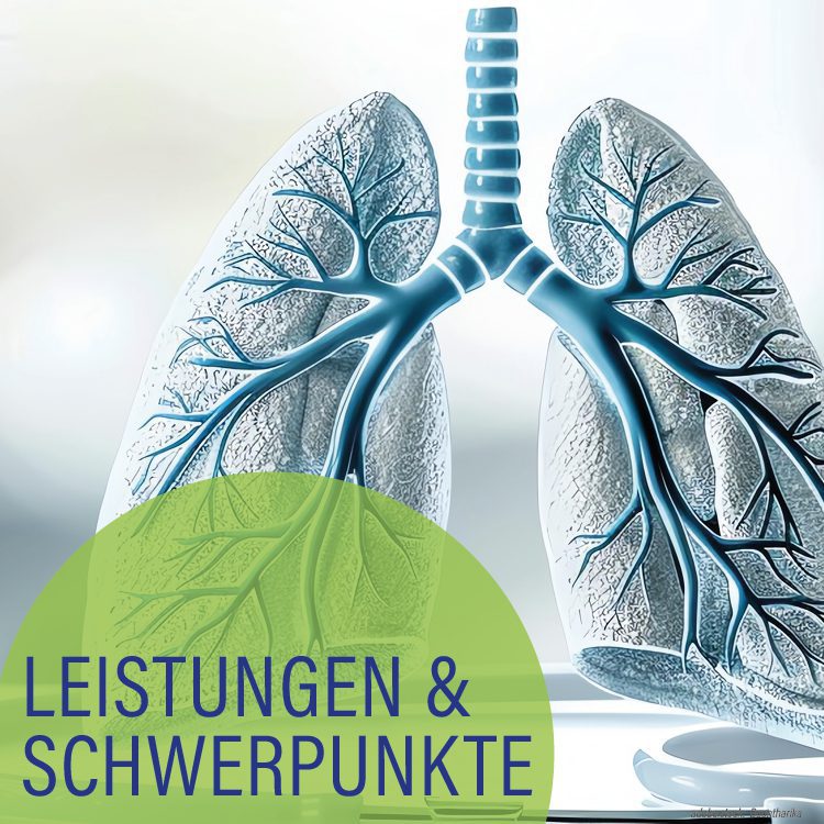 Modell-Visualisierung der menschlichen Lunge und der Lungengfäße schwebt über einem auf einem Tisch liegenden Stethoskop. Hellgrüner Kreis mit der Aufschrift Leistungen und Schwerpunkte.