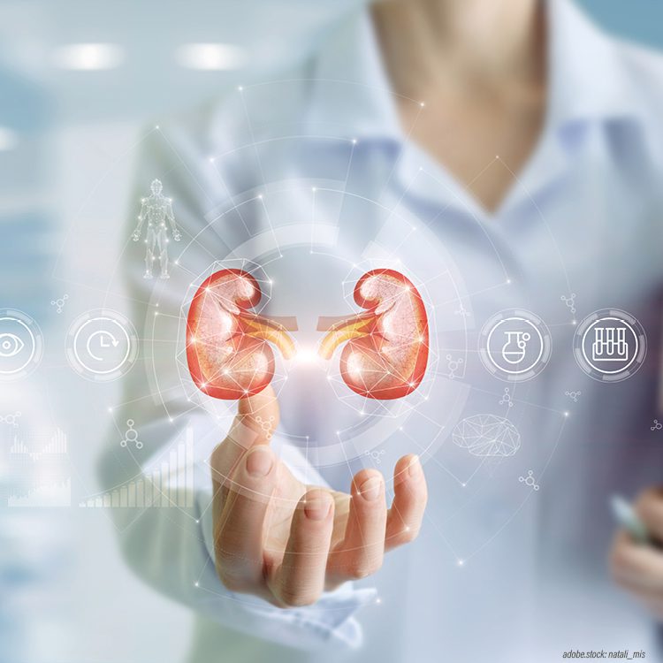 Person in Krankenhausarbeitskleidung zeigt mit der rechten Hand ein Hologram der menschlichen Nieren