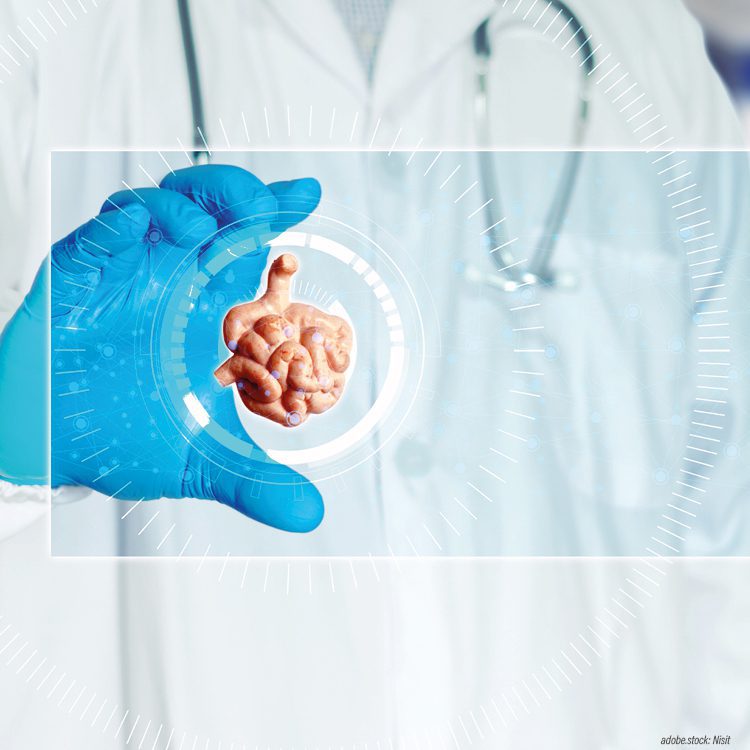 Person in Krankenhausarbeitskleidung zeigt mit der rechten Hand ein Hologram des menschlichen Darms