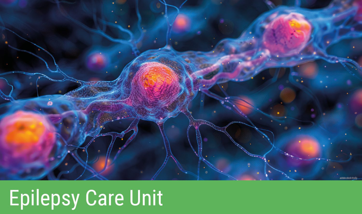 Stilisierte Darstellung von Nervenleitungen und Nervenzellen auf blauem Untergrund. Grüner Balken am unteren Bildrand mit Aufschrift Epilepsy Care Unit.