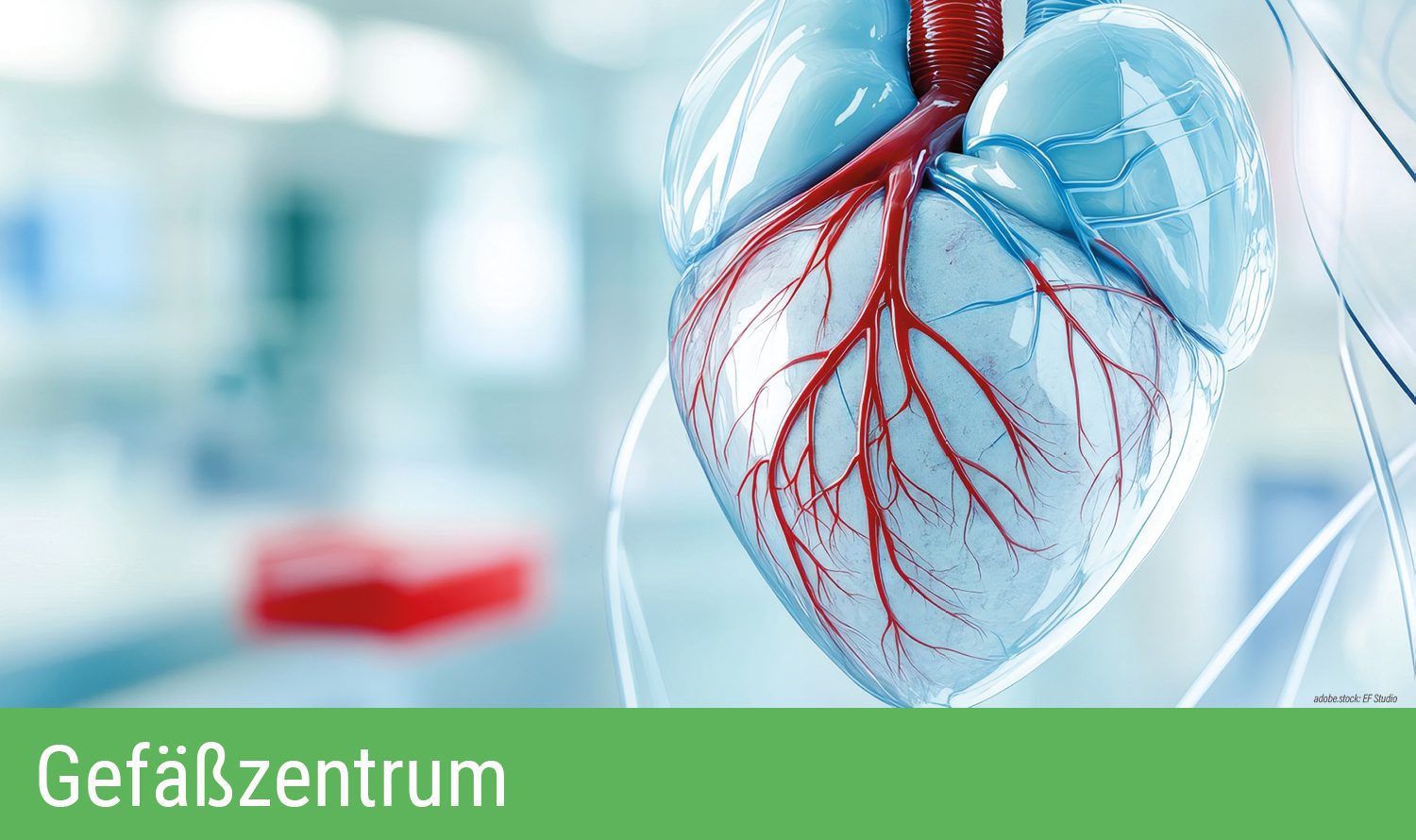 Abstrakte 3D-Modelldarstellung Herz und Herzgefäße vor unscharfem Hintergrund. Grüner Balken am unteren Bildrand mit Aufschrift Gefäßzentrum.