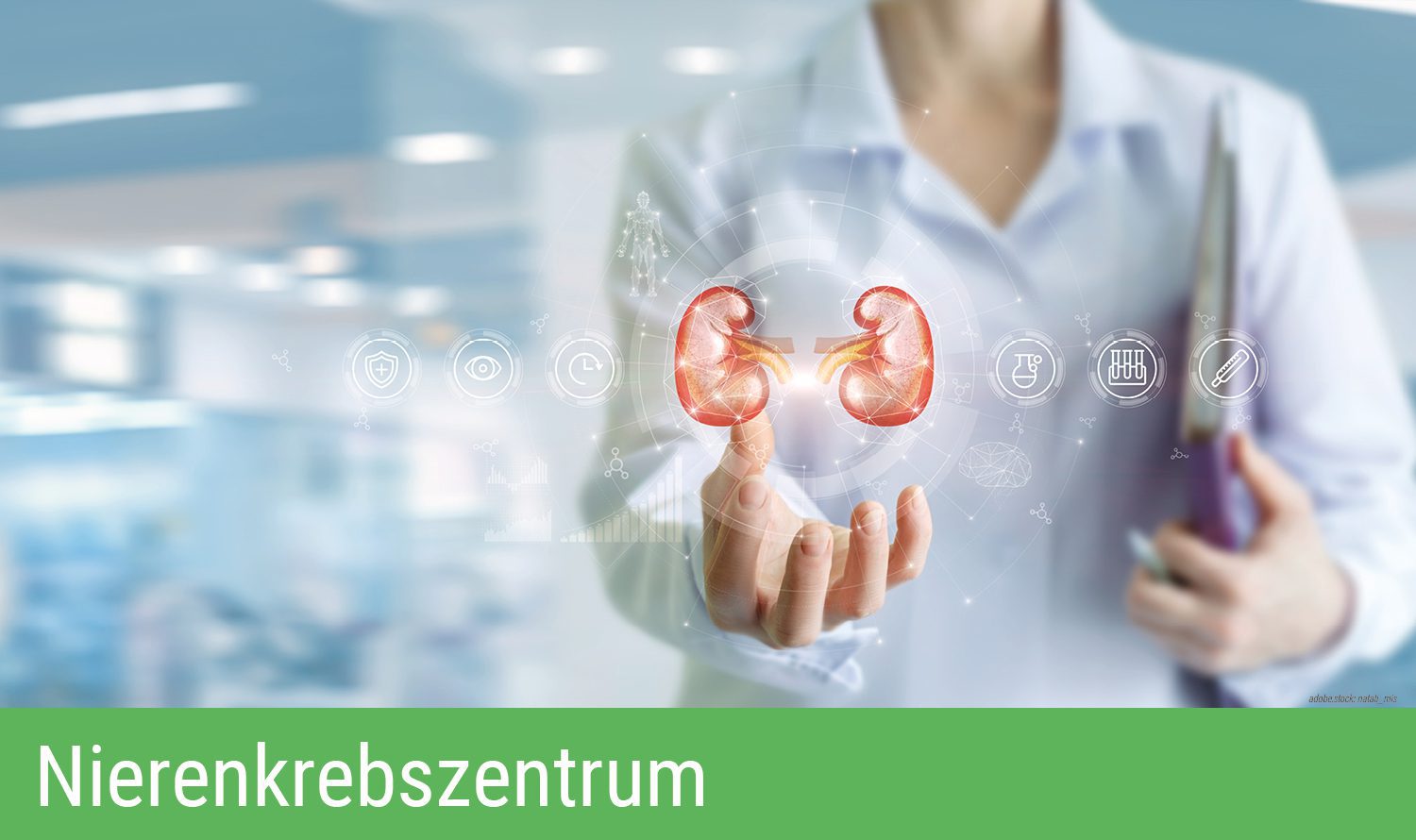 Hologramm der menschlichen Nieren schwebt über der Hand einer Person. Grüner Balken am unteren Bildrand mit Aufschrift Nierenkrebszentrum.
