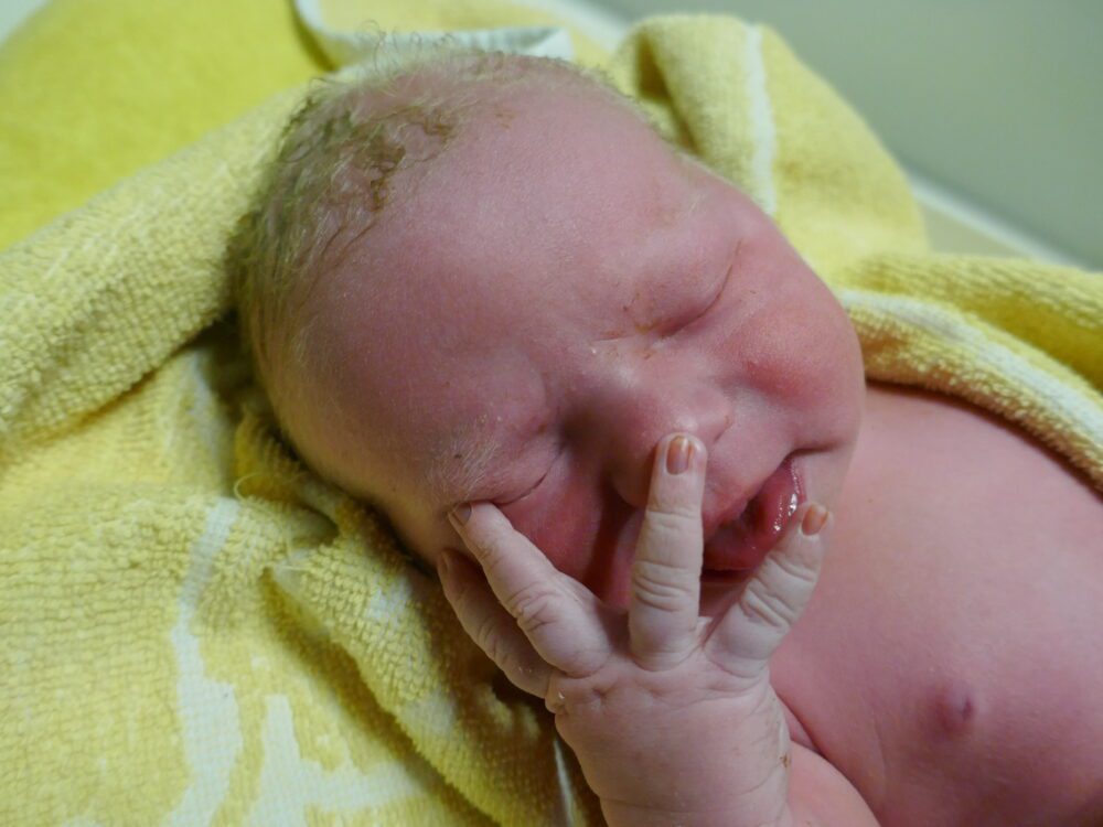 Neugeborenes Kort Christian Greiner