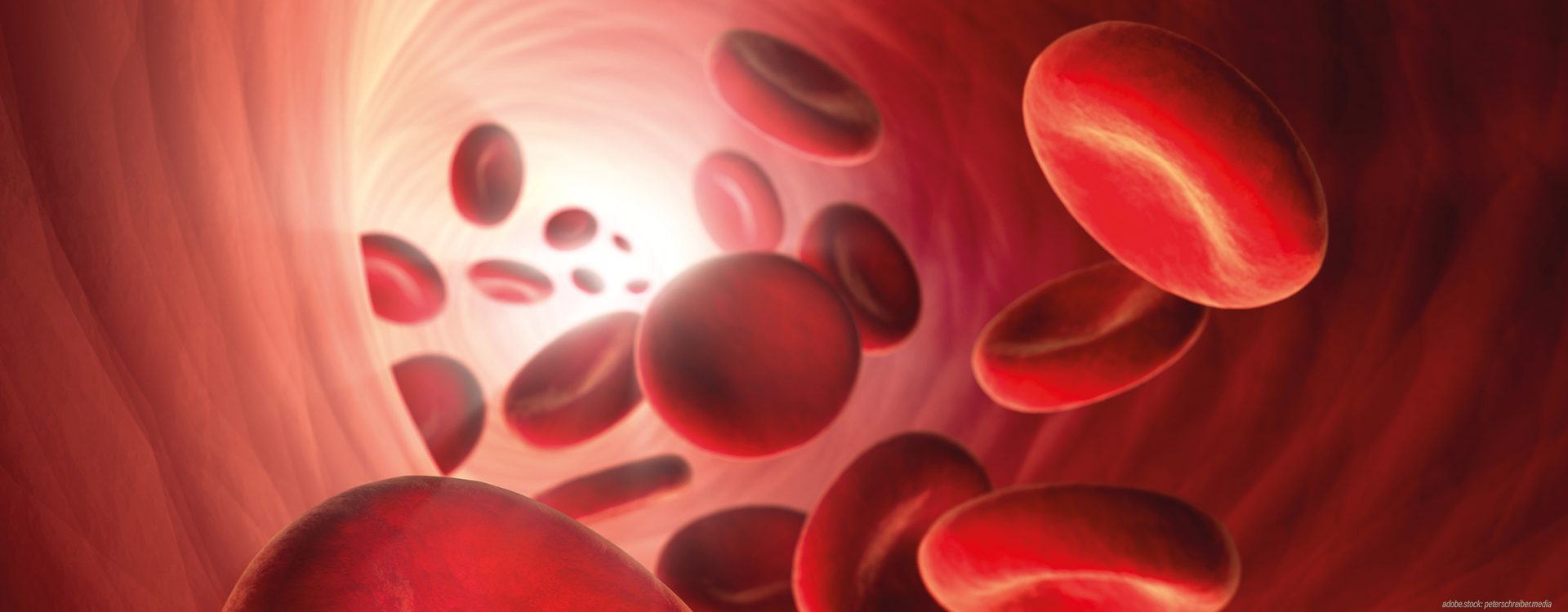 Visualisierung von roten Blutkörperchen die durch eine Arterie oder Vene schweben.