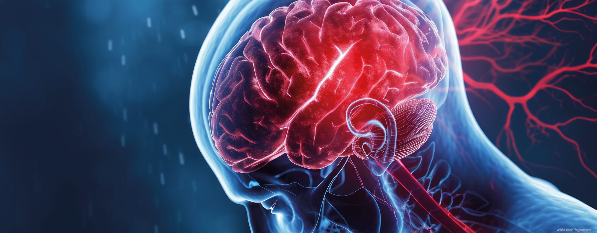 iluminierte Holographisches 3D-Modell des menschlichen Kopfbereiches, insbesondere des Gehirns.