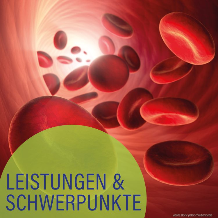 Visualisierung von roten Blutkörperchen die durch eine Arterie oder Vene schweben. Hellgrüner Kreis mit der Aufschrift Leistungen und Schwerpunkte.