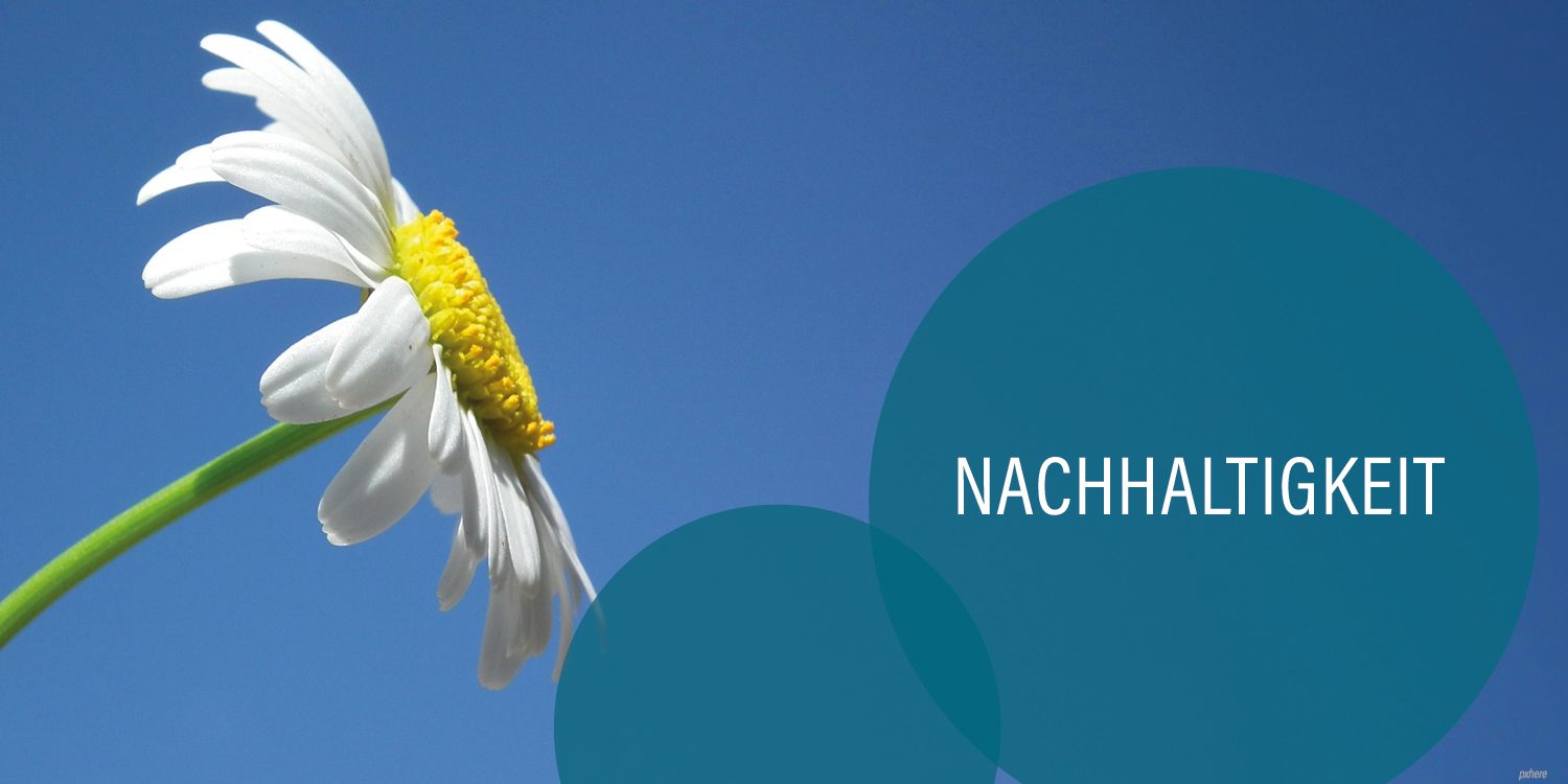Magerite vor blauem Himmel, blaugraue Kreise mit der Aufschrift Nachhaltigkeit